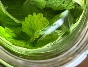 les infusions à froid un délice rafraîchissant