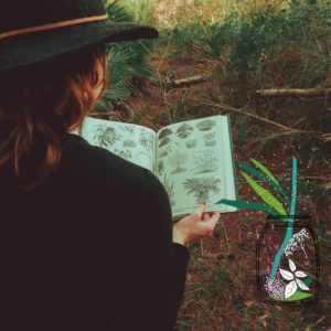 balade botanique contée sur les plantes de sorcière