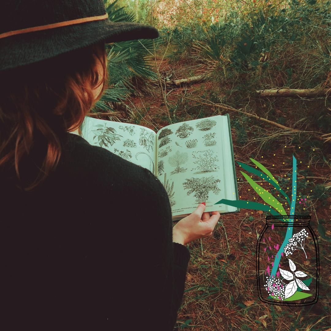 balade botanique contée sur les plantes de sorcière